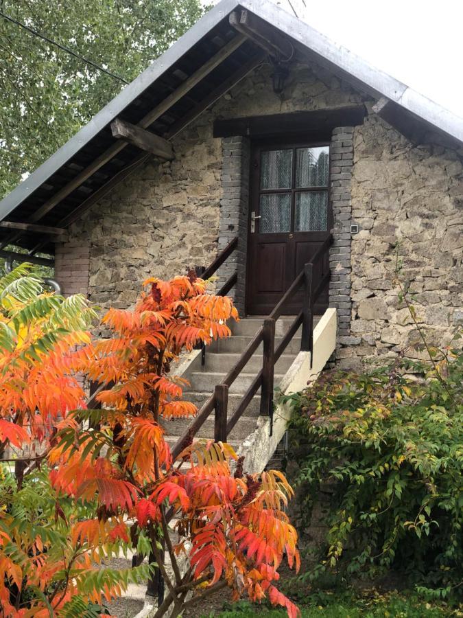 Maison d'hôtes Ourdeaux et Gite Chez Rouchon Alleyrat (Correze) Exterior foto